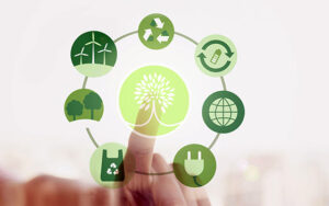 Curso online de Economía Circular y Sostenibilidad Ambiental