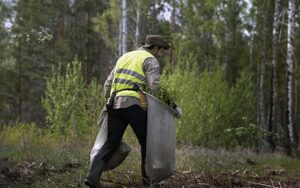 Curso online de Selvicultura