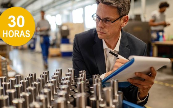 Práctica de auditoría de calidad y revisión de procesos Auditor de calidad revisando una lista de comprobación durante una inspección conforme a la norma ISO 19011